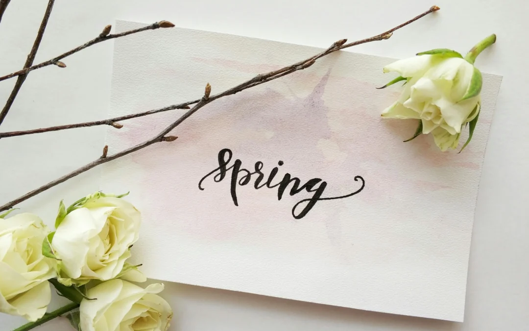 Spring Cleaning Your Brand: Tips & Tricks for Wedding and Wellness Businesses