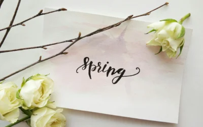 Spring Cleaning Your Brand: Tips & Tricks for Wedding and Wellness Businesses